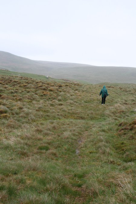 This shot of Peggy captures the isolation of John Brown's Grave, the white speck on the upper left of the photo.