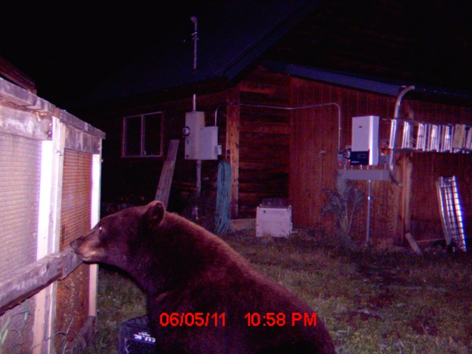 My beautiful picture