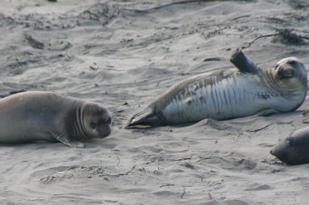 IMG_6065 Go that way