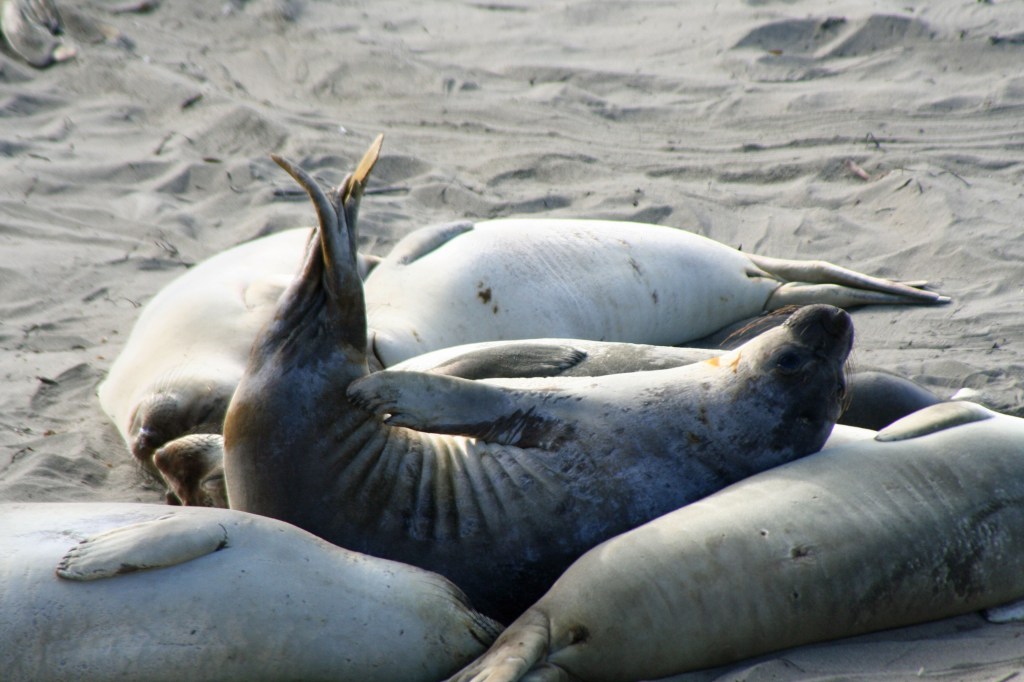 IMG_6076Putting feet up