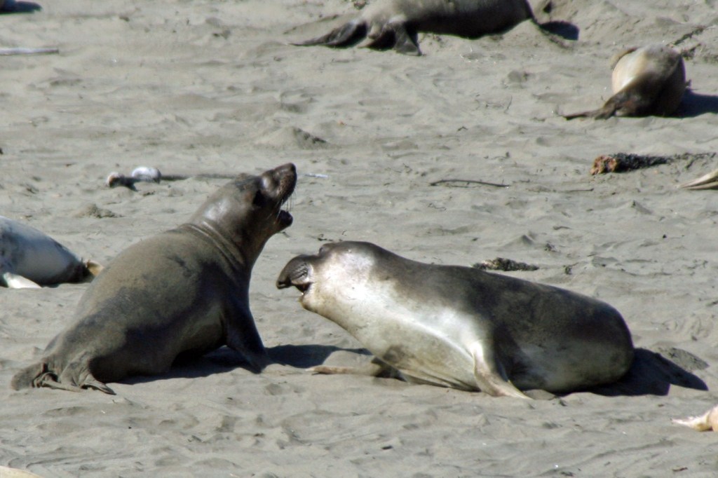 IMG_6201Did I tell you the one...