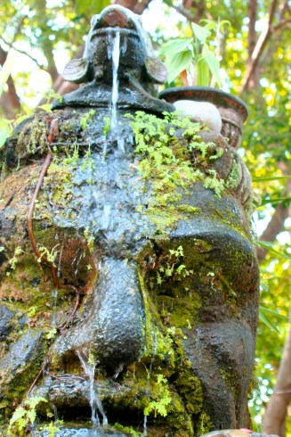 Restaurants, a museum, crafts and arts are featured on the island located in the middle of the Rio Cuale. We also found this intriguing sculpture.