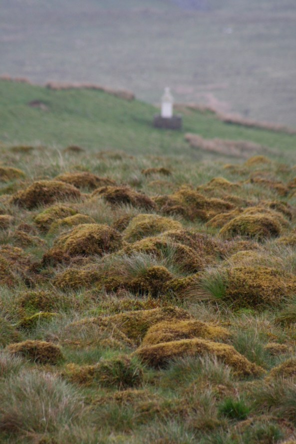 The ghostly grave of John Brown the Martyr on a lonely Scottish moor.