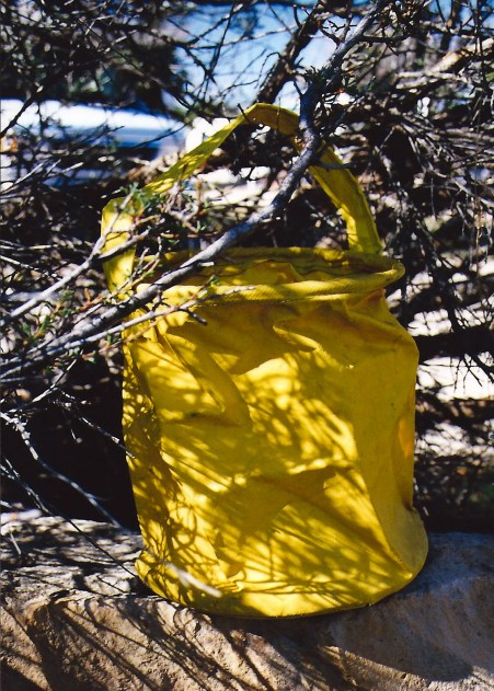My old yellow bucket, a veteran of dozens of backpacking adventures, holding Colorado River water. It retired after my second trip 