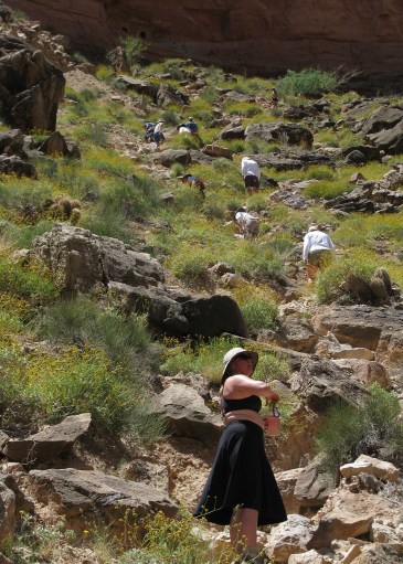 Path to Granaries DG