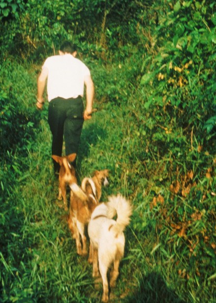 The usual assortment of dogs follows me up a jungle trail. Do Your Part, as always, is right on my heals.