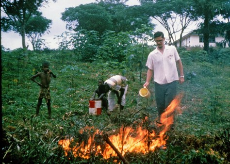 Burning out army ants