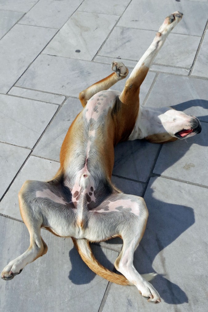 Maybe too relaxed. (grin)