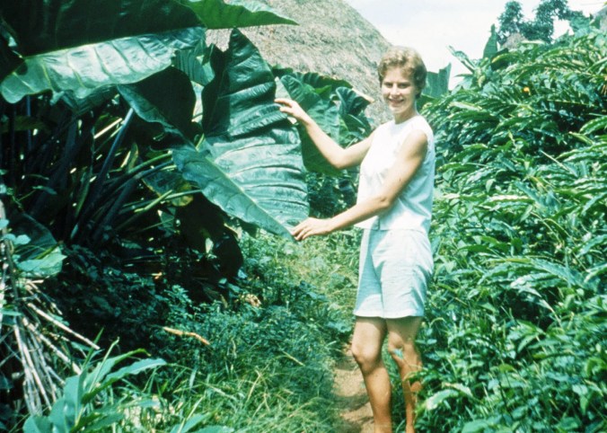 Jo Ann holds an Eddo or Taro leaf. The tubers of this plant are used as food throughout the tropics.