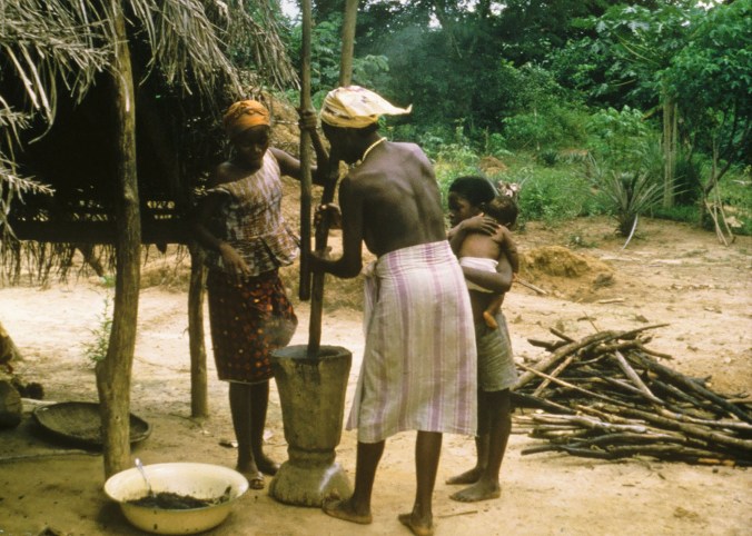 A Kpelle woman and her daughter take turns pounding palm nuts in this 1966 photo taken near Gbarnga, Liberia.