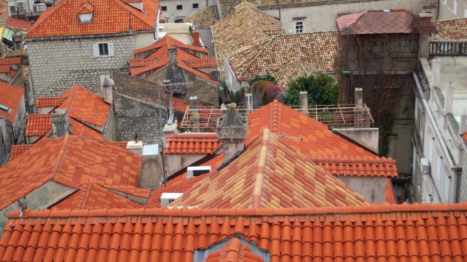 The contrast between new and older tiles is captured here. Many of the newer tiles represent repairs made after the Siege of Dubrovnik in 2000-2001. The trellis in the middle covers a garden, of which many are found through out the city nestled between buildings.