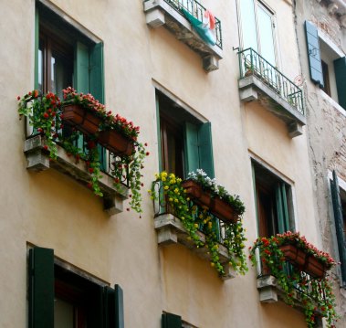 Window flower boxes are common in Venice, Italy.