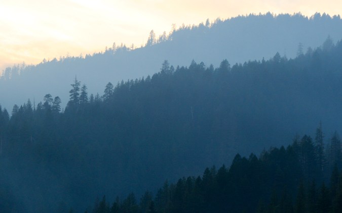Southern Oregon Forest
