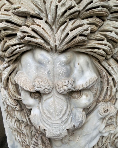 I was quite taken with this lion in the Vatican museum.