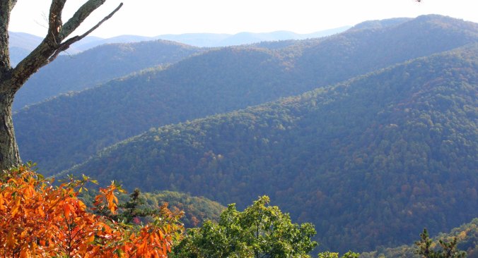 Fall colors of Shenandoah National Park in Virginia