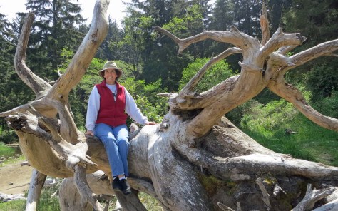 Peggy Mekemson and tree roots on Oregon Coast.
