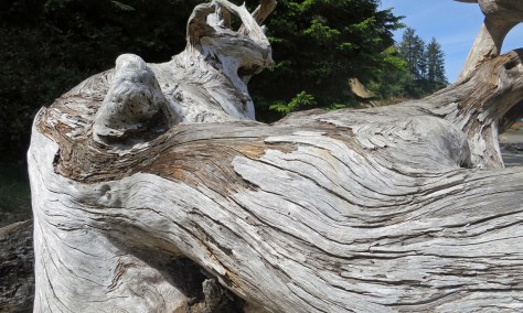 The grain of the wood on the Bum Steer caught my attention for the beautiful way it flows.