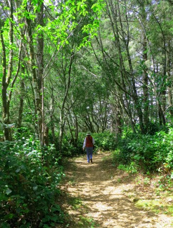 Hiking trail at Sunset Bay State Park, Oregon