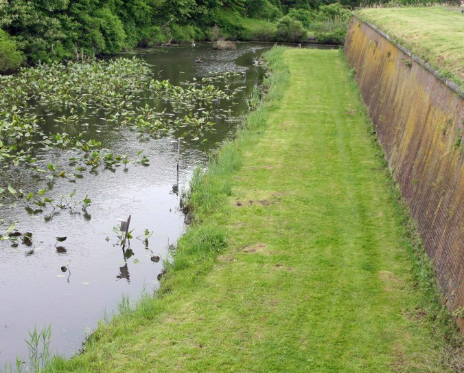 Today, a beautiful moat filled with plants and wildlife surrounds Ft. Mifflin. I like to think of it as a fitting memorial to James, Andrew and the other men who fought against overwhelming odds and gave their lives so the young republic could live.