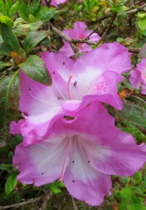 Shore Acres Botanical Garden, Coos Bay, Oregon
