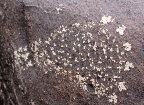 Petroglyph bear track at Thrre Rivers Petroglyph site in southern New Mexico.