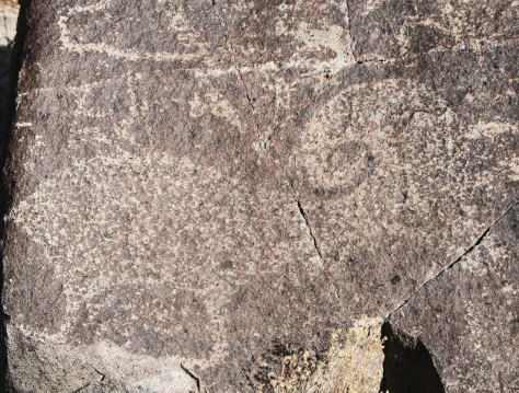 Bighorn sheep petroglyph at Three Rivers Petroglyph site in southern New Mexico.