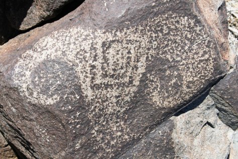 Bighorn sheep petroglyph founf at Three Rivers Petroglyph site in southern New Mexico.