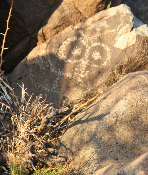 Buggy eyed petroglyph at Three Rivers Petroglyph site.
