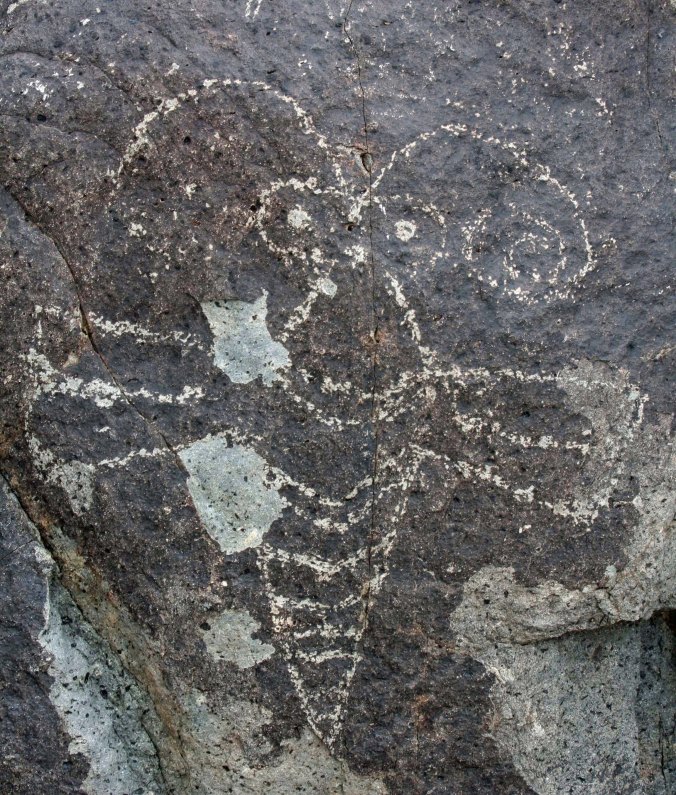 Butterfly petroglyph at Three Rivers Petroglyph site.