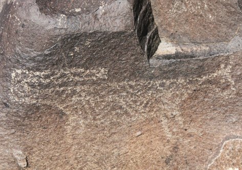 Another mountain lion petroglyph. As to why the big cats have there tail extended over their backs, I don't have a clue. Any ideas?