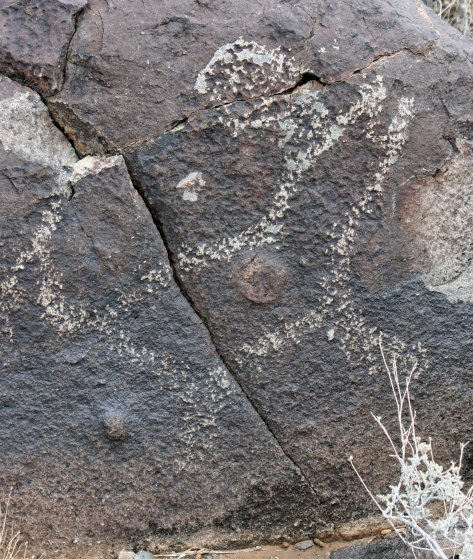 Petroglyph of coyote howling at the moon found in the Three Rivers Petroglyph site.
