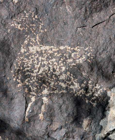 Goose petroglyph at Three Rivers Petroglyph site in southern New Mexico.