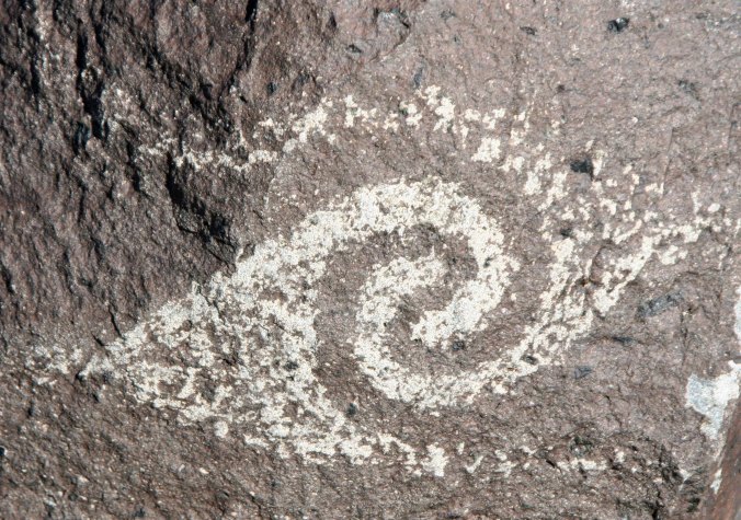 Spiral petroglyph at Three Rivers Petroglyph site.