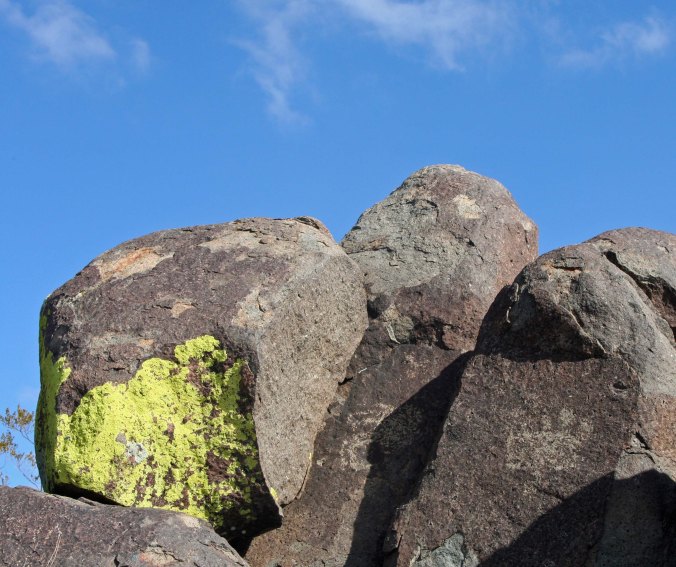 Petroglyphs at Three Rivers Petroglyph site in southern New Mexico.