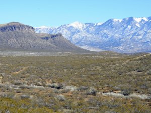 Three Rivers Petroglyph site in southern New Mexico with Sacramento Mountains providing the backdrop.