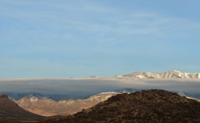Three Rivers Petroglyph site in southern New Mexico.