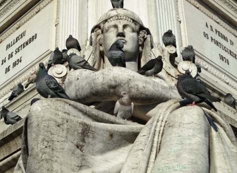 As everyone knows, pigeons have a fondness for statues. We found these in _____ Square at the end of Rua Augusta.