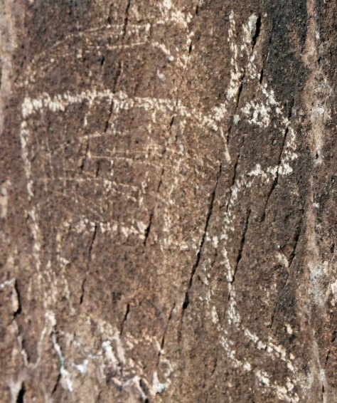 Rabbit petroglyph at Three Rivers Petroglyph site in southern New Mexico