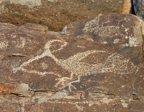 Petroglyph of roadrunner and snake at Three Rivers petroglyph site in southern New Mexico.