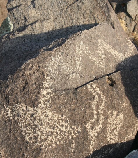 Petroglyph snake with large head in Three Rivers Petroglyph site.