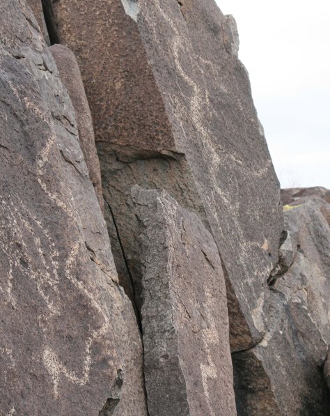 These long snakes slithering down the rocks are worthy of an Indiana Jones movie.