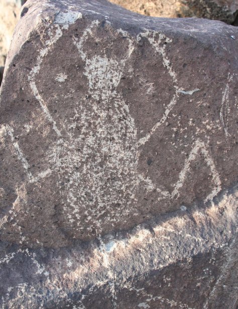 Spider petroglyph at Three Rivers Petroglyph site.