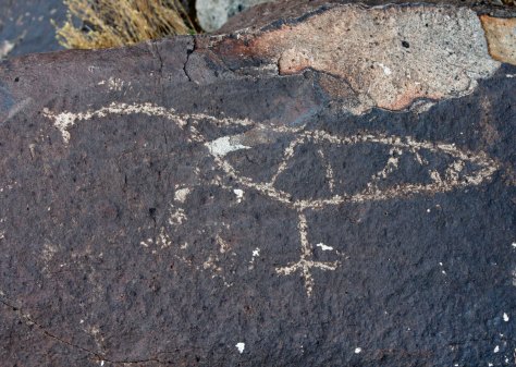 Turkey petroglyph at Three Rivers Petroglyph site.