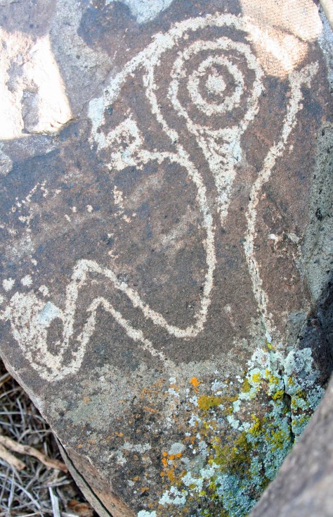Strange petroglyph from Three Rivers Petroglyph site in Southern New Mexico.