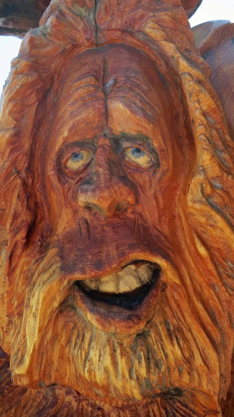 Chainsaw woodcarving in Hope BC