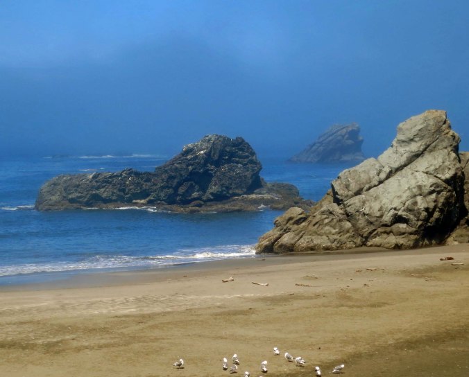 Fog rolls in at Harris State Beach  near Brookings, Oregon.
