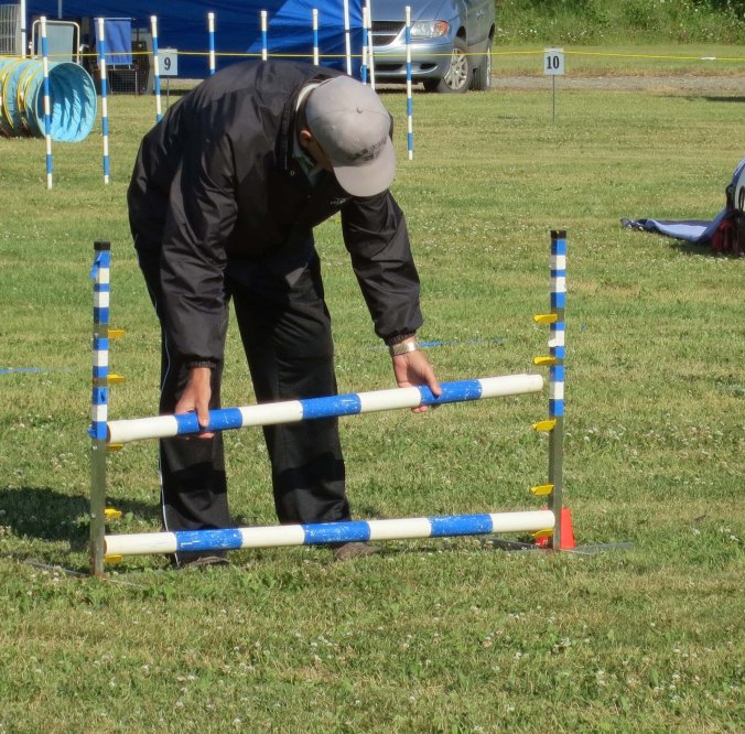 Dog agility trials at Quesnel BC