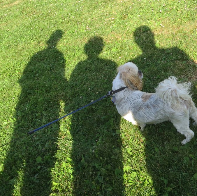 Bob and Linda's dog, Sister, stands in our shadows and watches the action. Sister decided that much more than "Good dog," would be required for her to leap over hurdles.