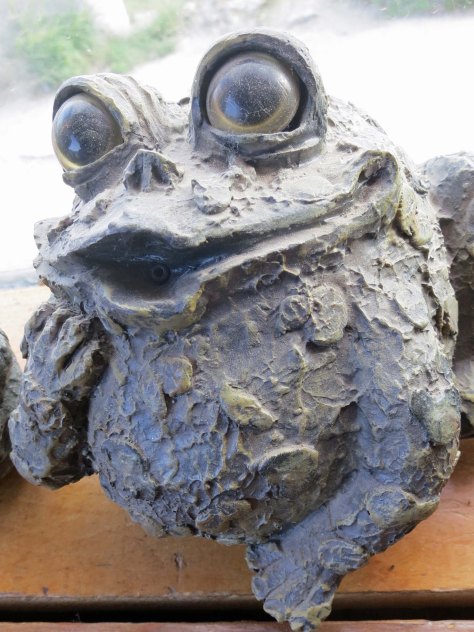 The Toad River Lodge had this toad for sale.