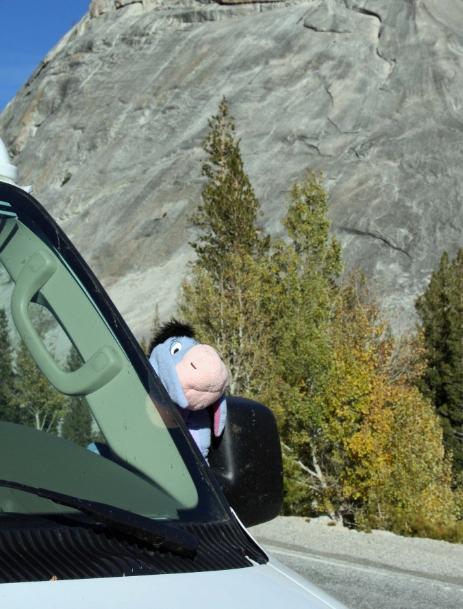 Quivera and Eeyore  share a moment at Yosemite National Park.